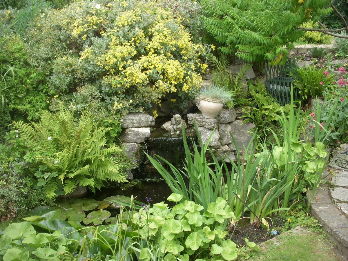 Water feature Pewley Hill